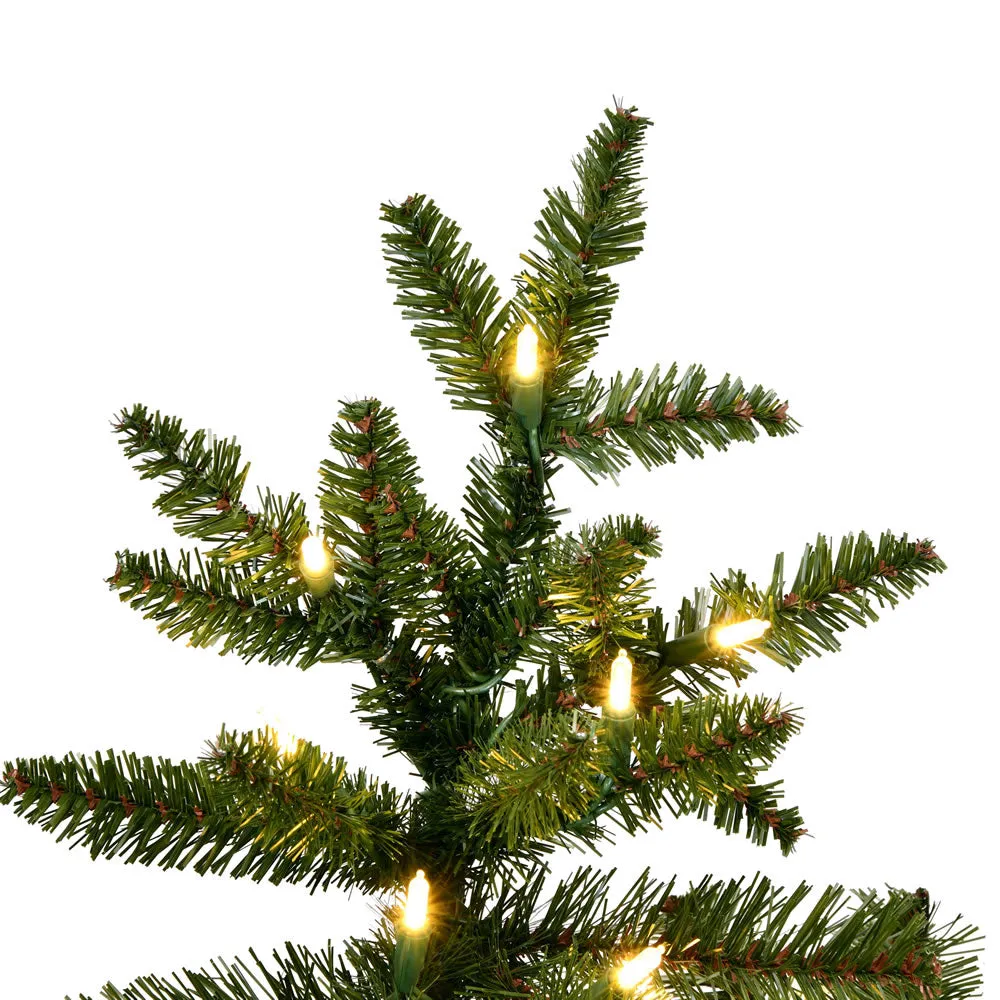 7.5' Natural Fraser Dura-Lit 800WW, K194176LED, Vickerman