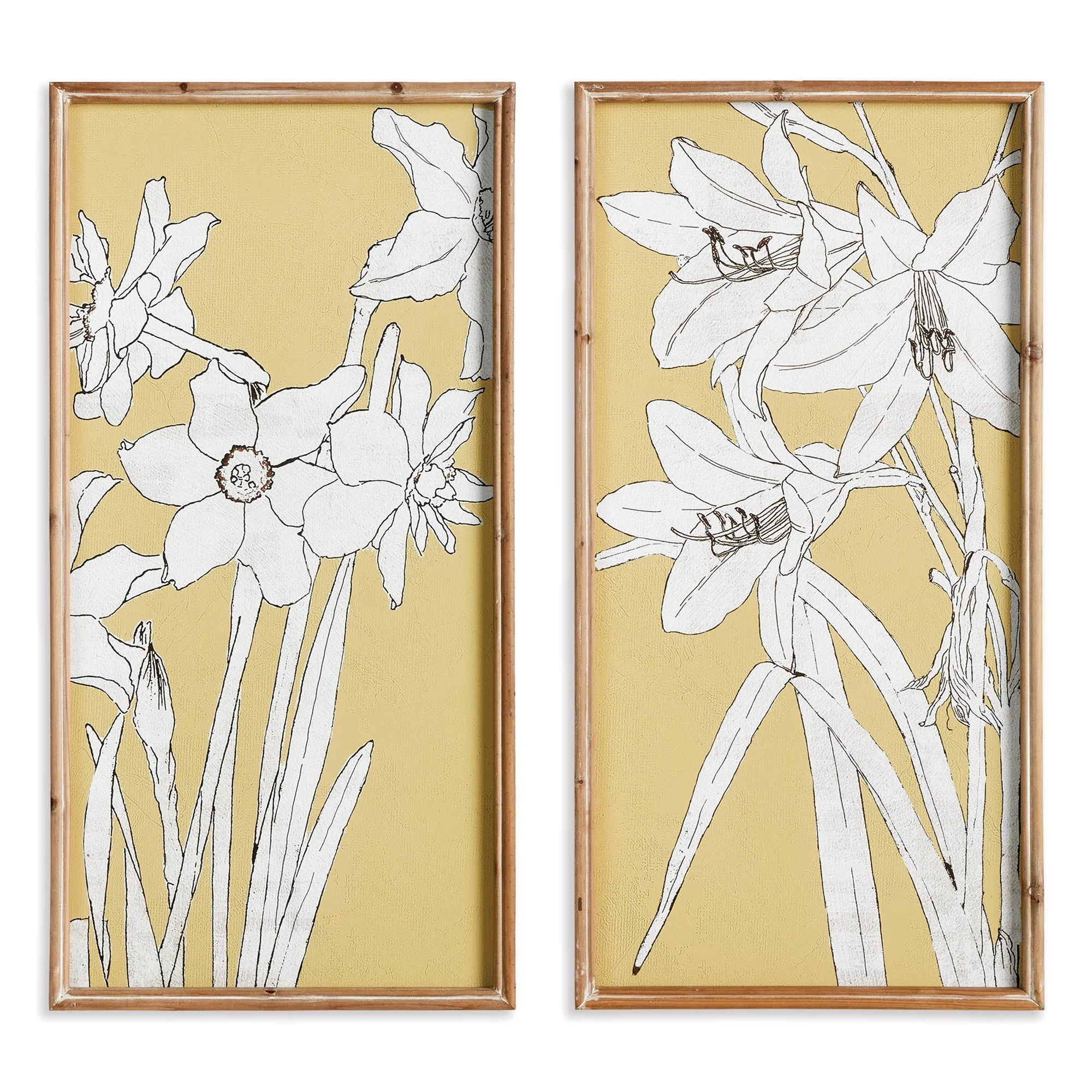 FLOWERING AMARYLLIS PRINTS, SET OF 2 BY NAPA HOME & GARDEN