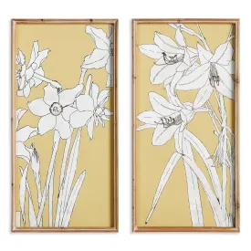 FLOWERING AMARYLLIS PRINTS, SET OF 2 BY NAPA HOME & GARDEN