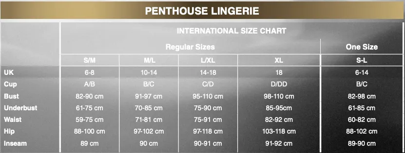 Penthouse - Sugar Drop Suspender Bodystocking Costume