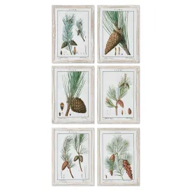 PINE STUDY, SET OF 6